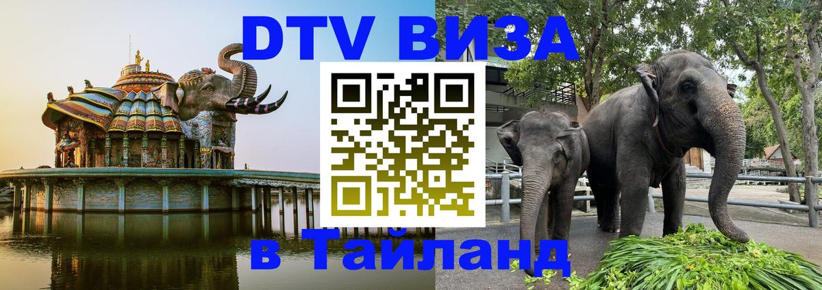 Сколько стоит DTV виза — актуальные цены, оформление даже без документов - 